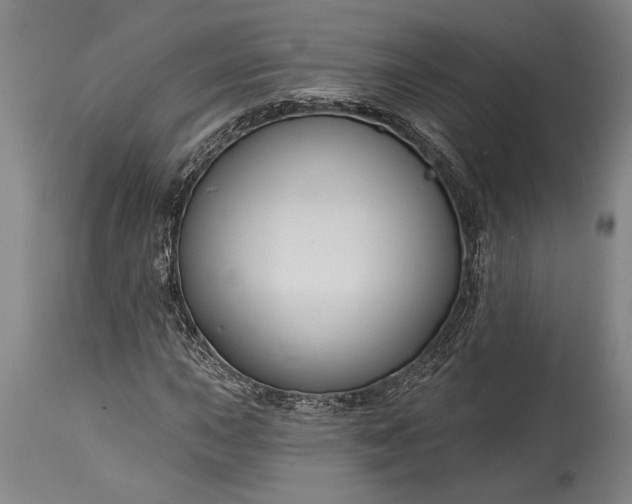 X0000115431015200911181455