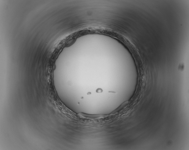 X0000115431016200911181455