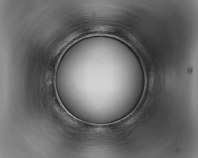 X0000115431017200911181455