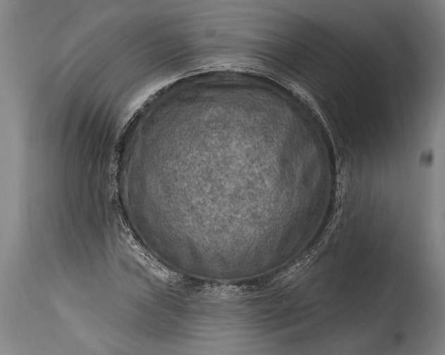 X0000115431019200911181455