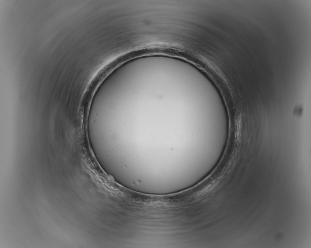 X0000115431021200911181455