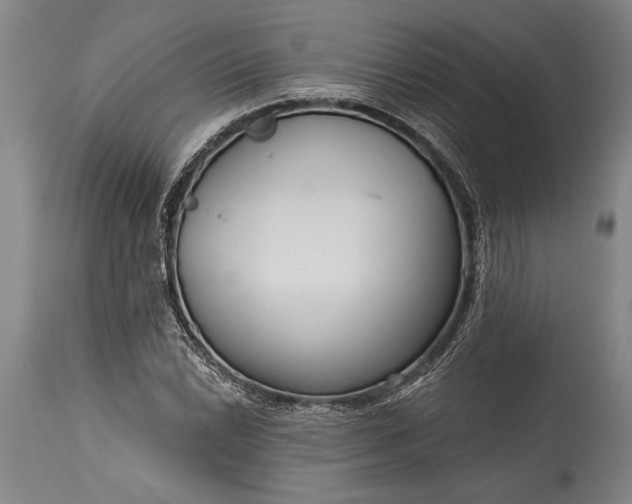 X0000115431022200911181455