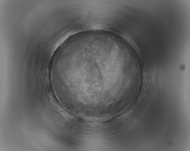 X0000115431023200911181456