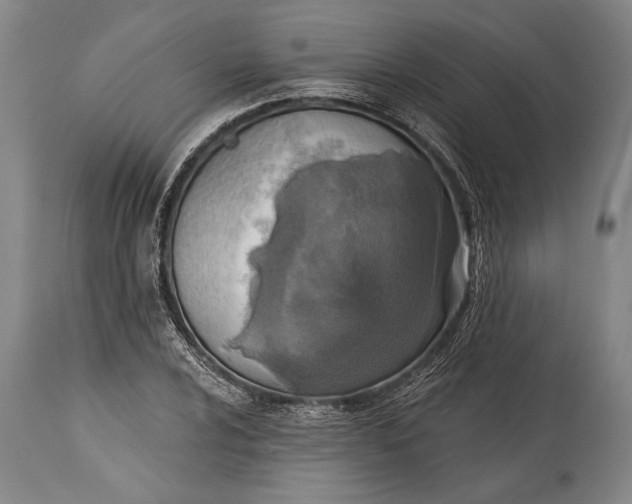 X0000115431024200911181456