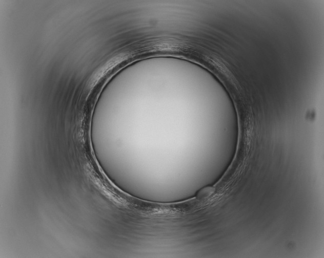 X0000115431026200911181456