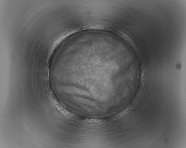 X0000115431027200911181456