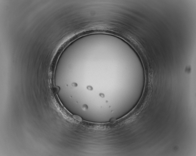 X0000115431029200911181456