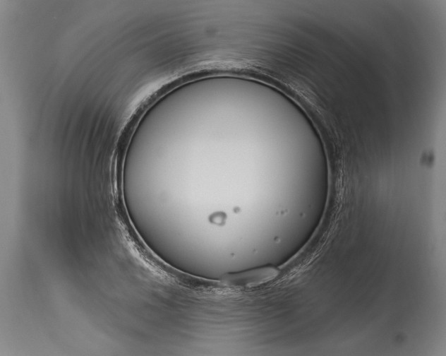 X0000115431030200911181456