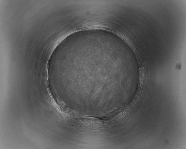 X0000115431031200911181456