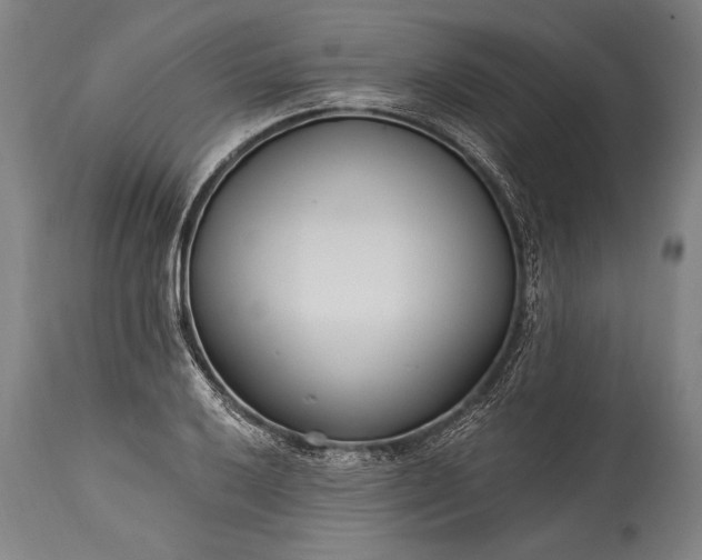 X0000115431032200911181456