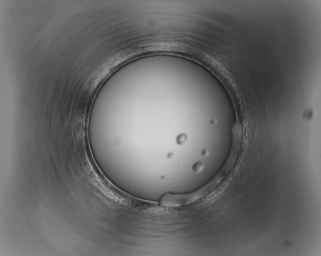 X0000115431033200911181456