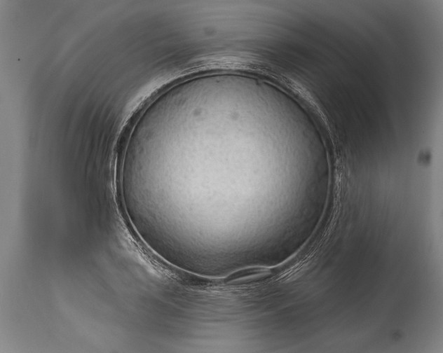 X0000115431035200911181456