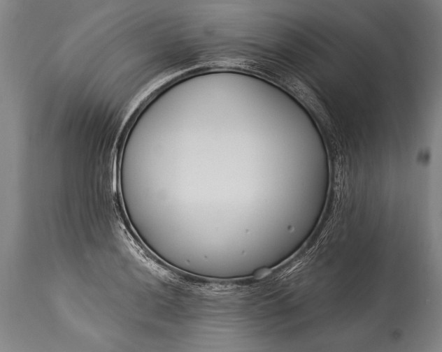 X0000115431036200911181456