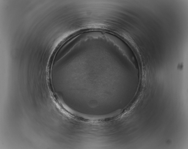 X0000115431037200911181456