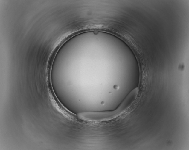 X0000115431038200911181456