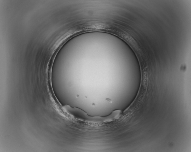 X0000115431039200911181456