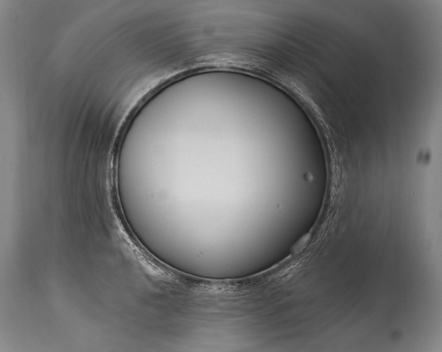 X0000115431040200911181456