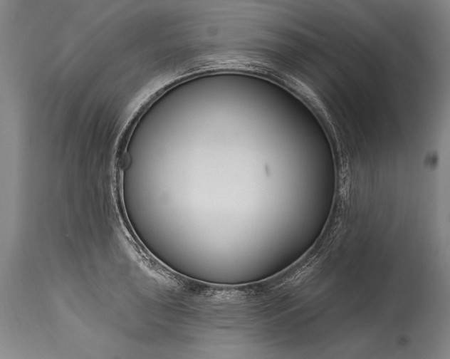 X0000115431043200911181456