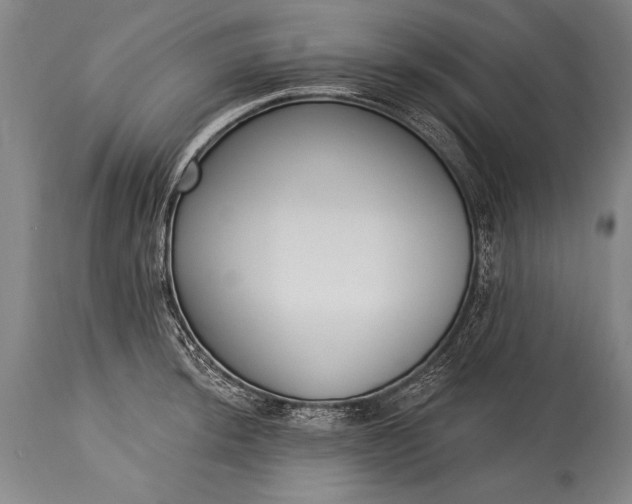 X0000115431044200911181456