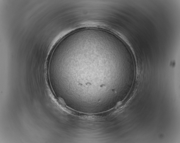 X0000115431045200911181456