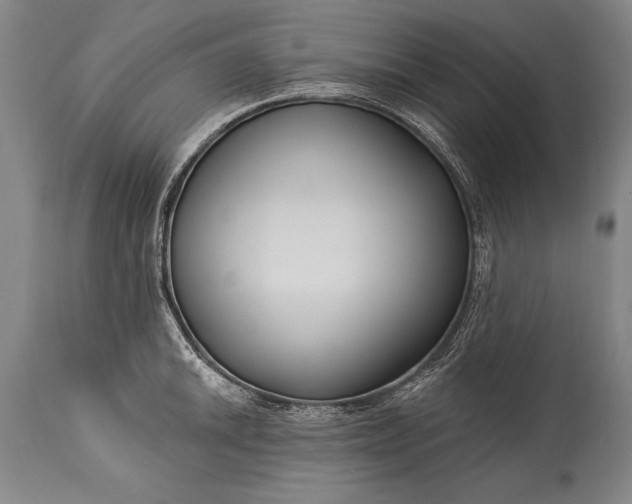 X0000115431046200911181456