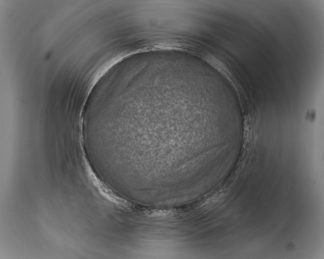 X0000115431047200911181456