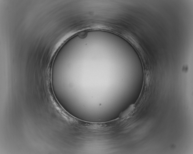 X0000115431048200911181456