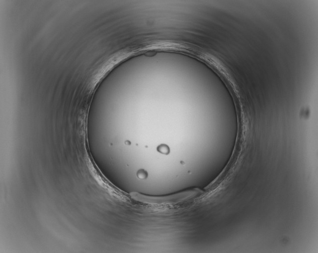 X0000115431049200911181456