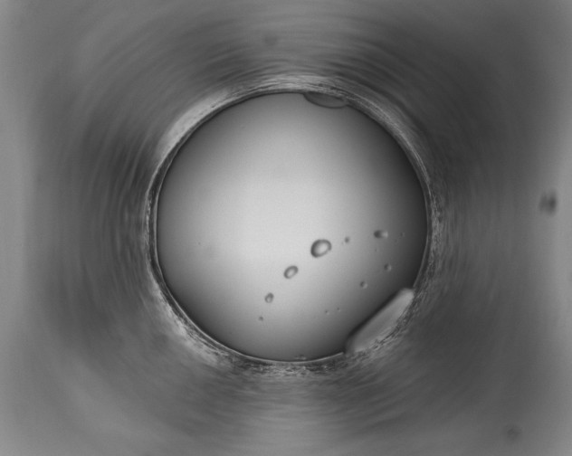 X0000115431050200911181456