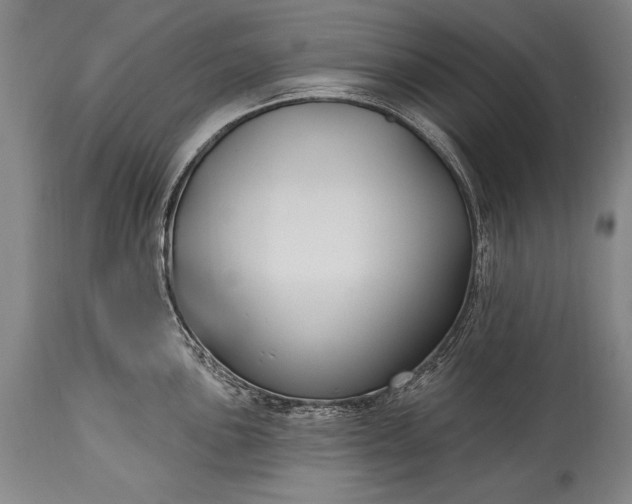 X0000115431051200911181456