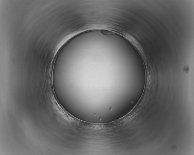 X0000115431052200911181456