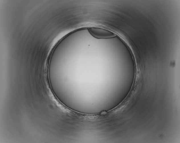 X0000115431053200911181456