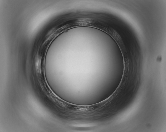 X0000115431054200911181456