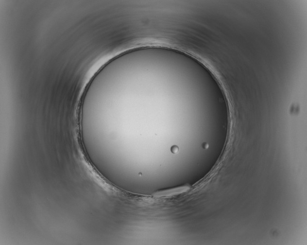 X0000115431056200911181456