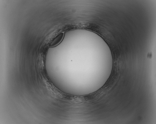 X0000115431058200911181455