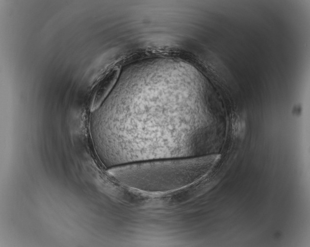 X0000115431060200911181455