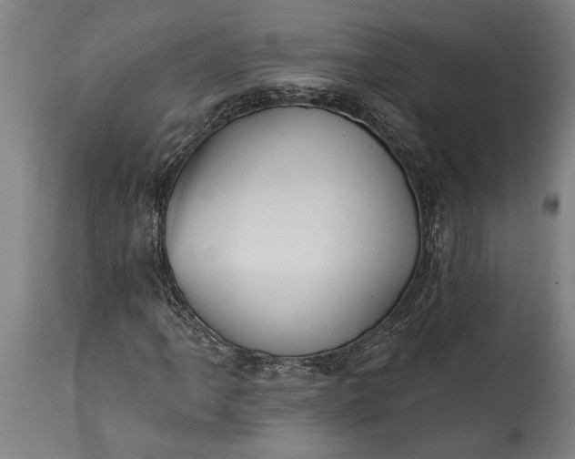 X0000115431061200911181455