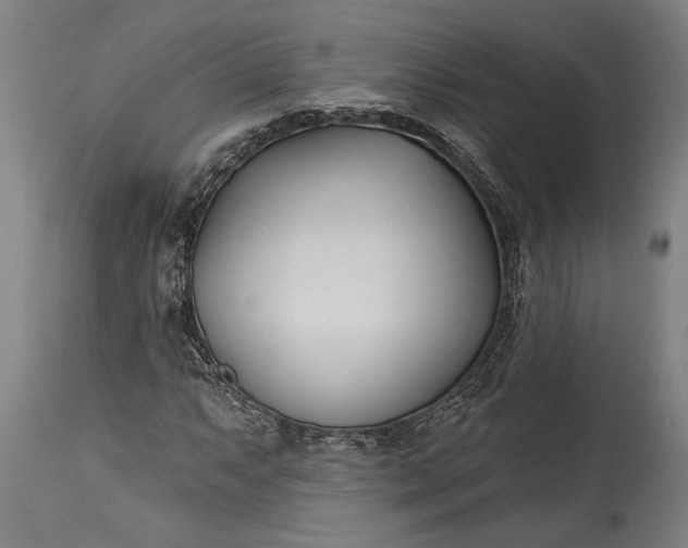 X0000115431063200911181455