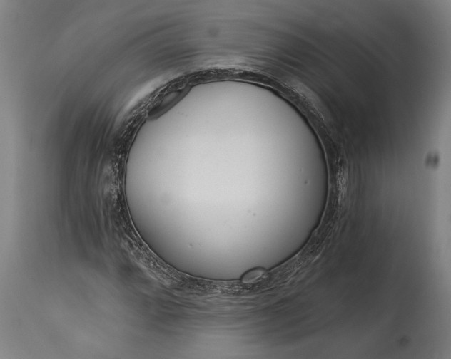 X0000115431064200911181455