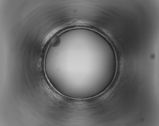 X0000115431066200911181455