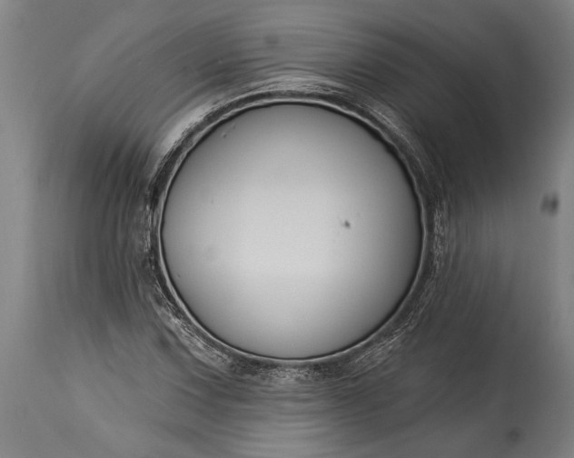 X0000115431067200911181455