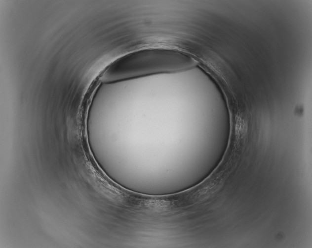 X0000115431068200911181455