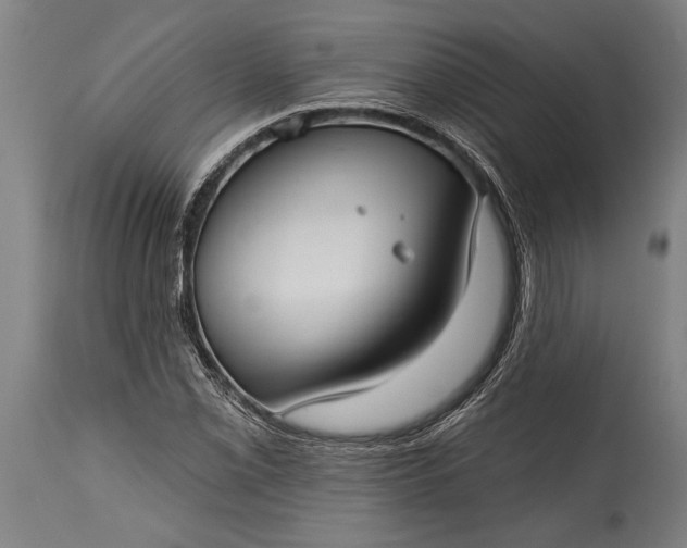 X0000115431069200911181455