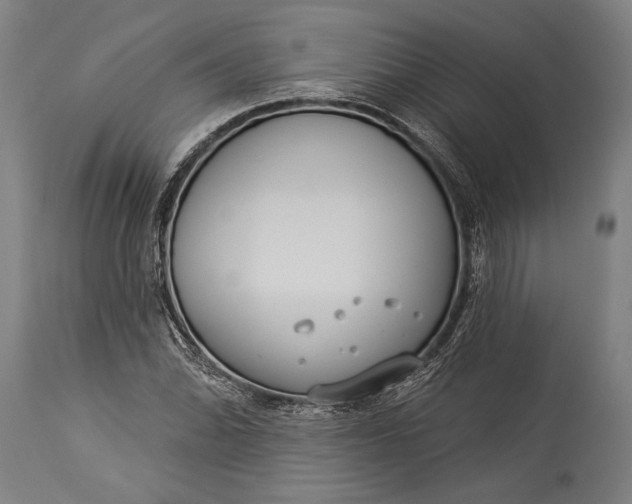 X0000115431070200911181455