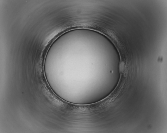 X0000115431071200911181455