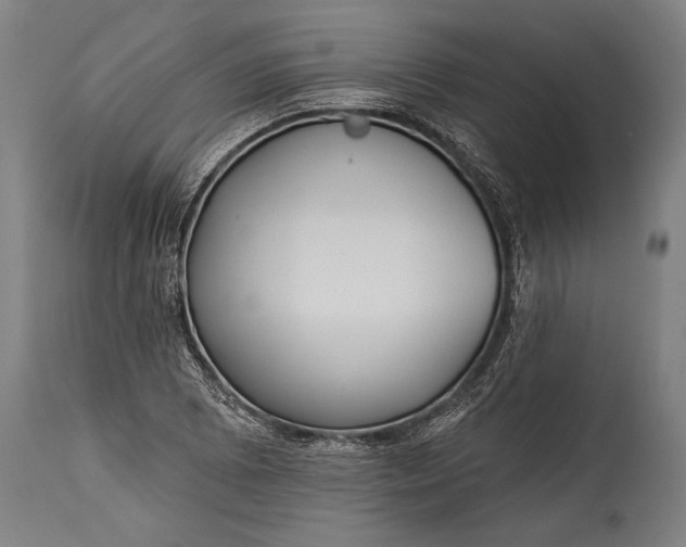 X0000115431073200911181455