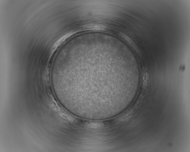 X0000115431074200911181455