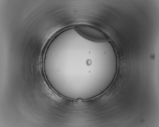 X0000115431076200911181455