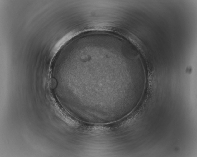 X0000115431077200911181455