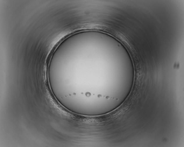 X0000115431079200911181455